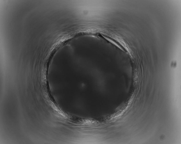 X0000100220585200806131316