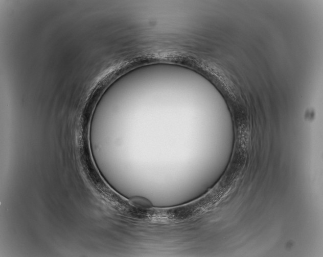 X0000100220587200806131316