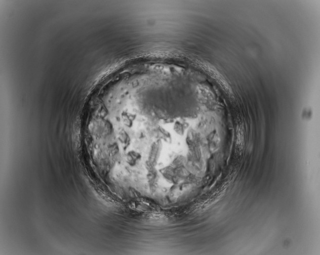 X0000100220588200806131316