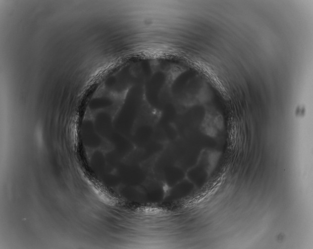 X0000100220590200806131316