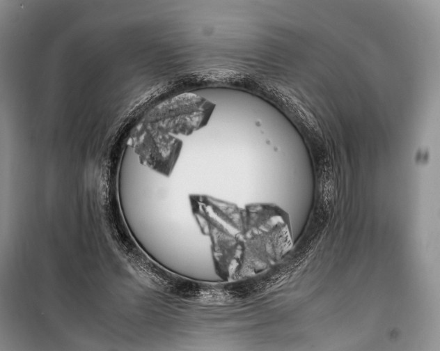 X0000100220591200806131316