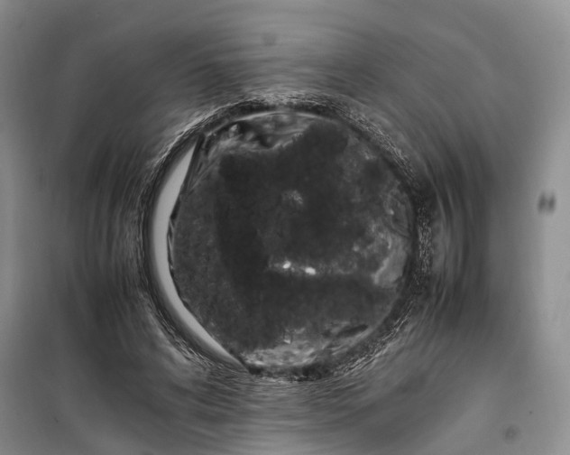 X0000100220592200806131316