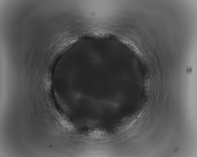 X0000100220593200806131316