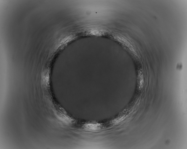 X0000100220595200806131316