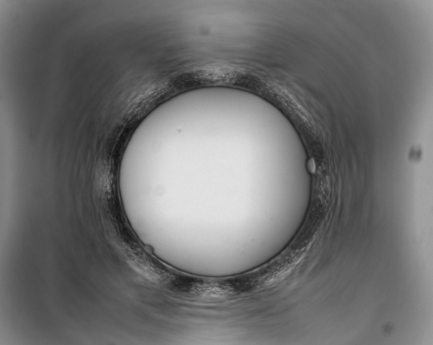 X0000100220597200806131316