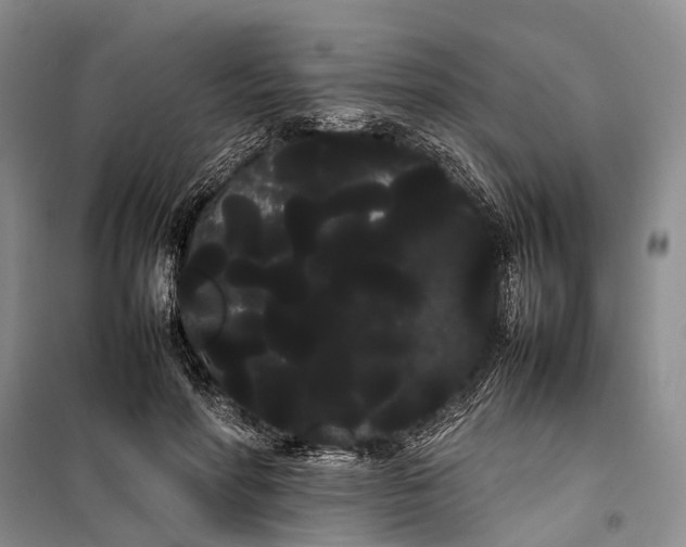 X0000100220598200806131316