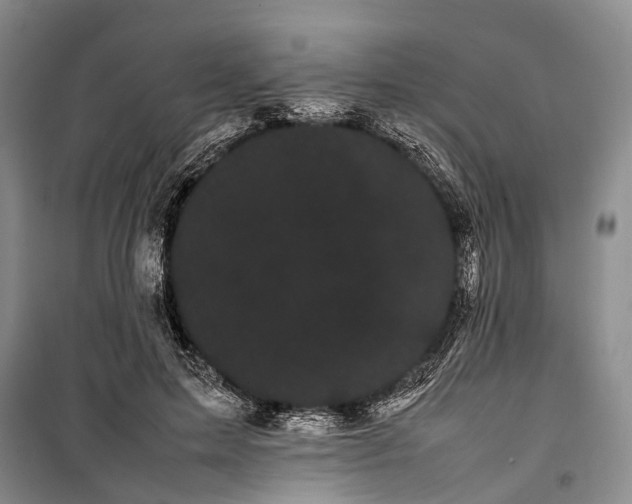 X0000100220599200806131316