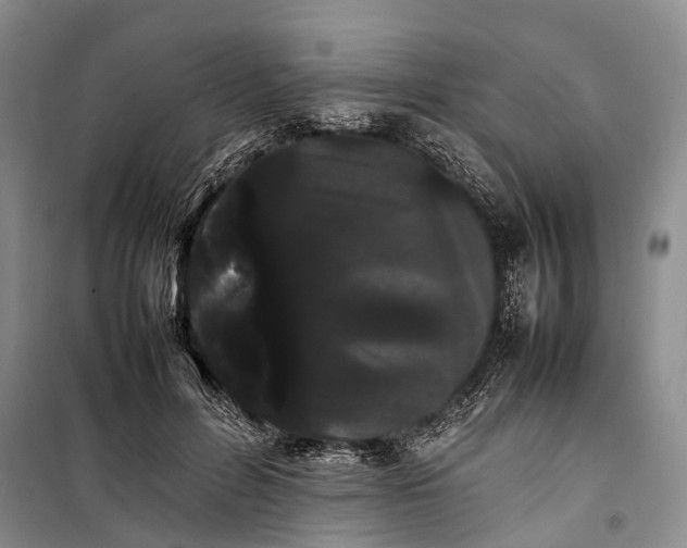 X0000100220600200806131316