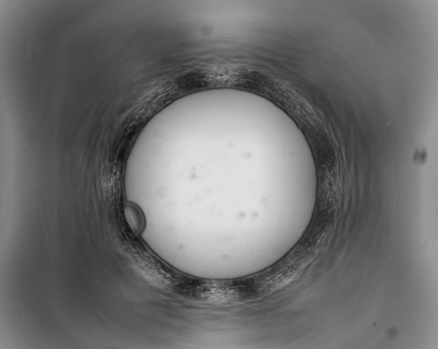 X0000100220601200806131316