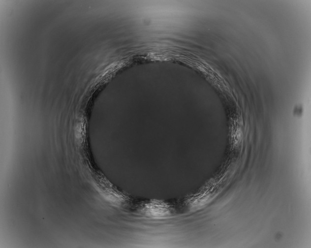 X0000100220603200806131316