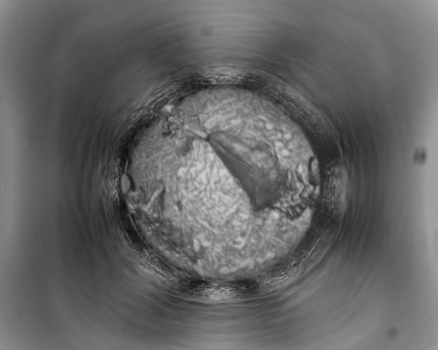 X0000100220604200806131316