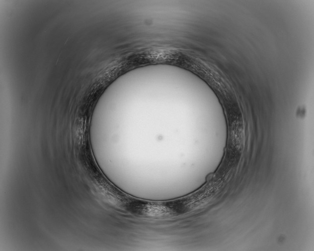 X0000100220605200806131316