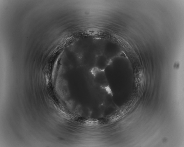 X0000100220606200806131316