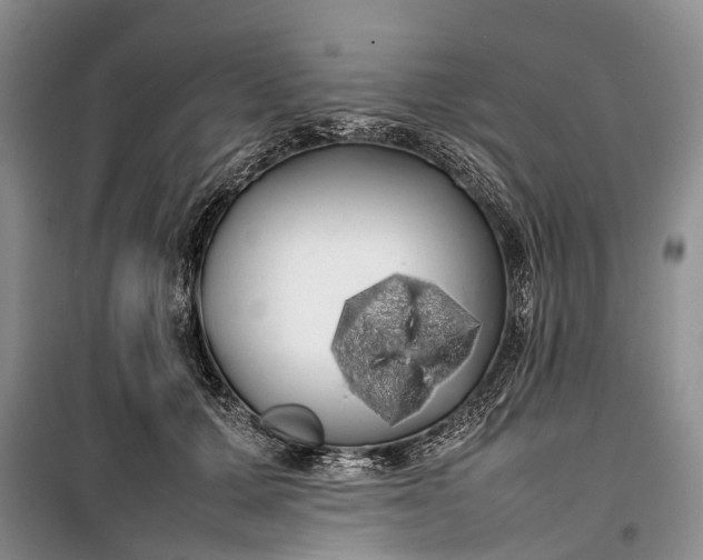 X0000100220607200806131316