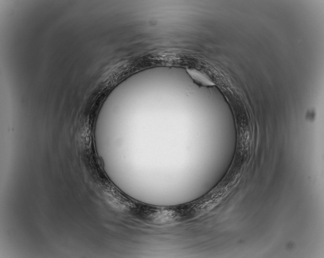 X0000100220609200806131316