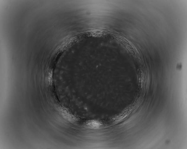 X0000100220610200806131316