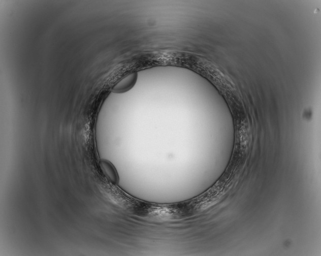 X0000100220611200806131316