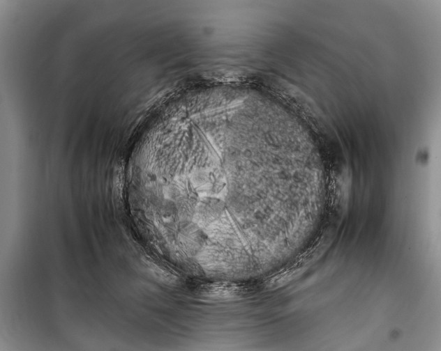 X0000100220612200806131316