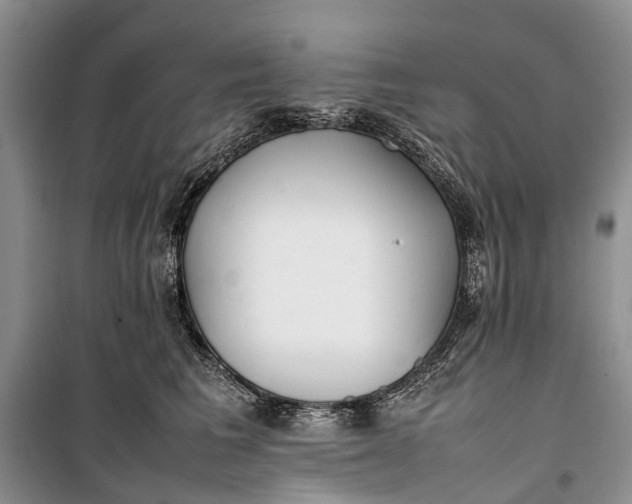 X0000100220613200806131316