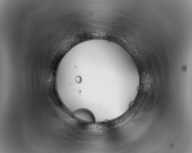 X0000100220614200806131316