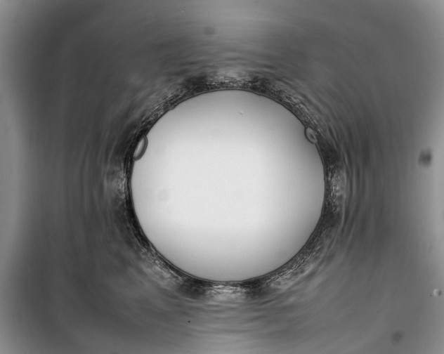 X0000100220617200806131316