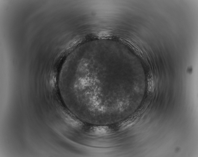 X0000100220618200806131316