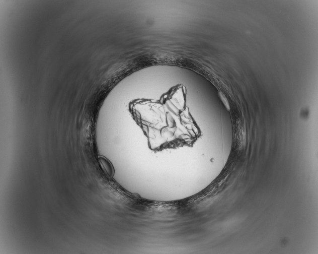 X0000100220619200806131316