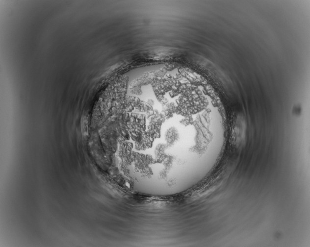 X0000100220620200806131316