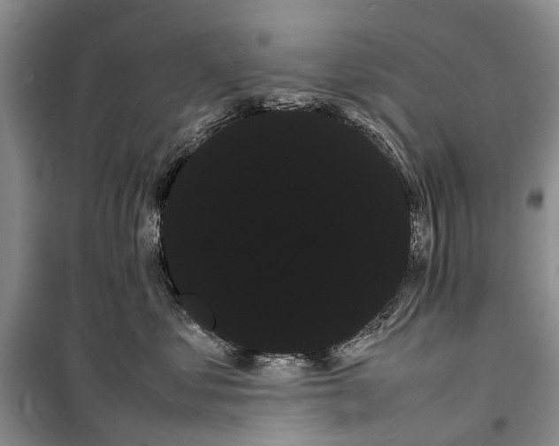 X0000100220621200806131316