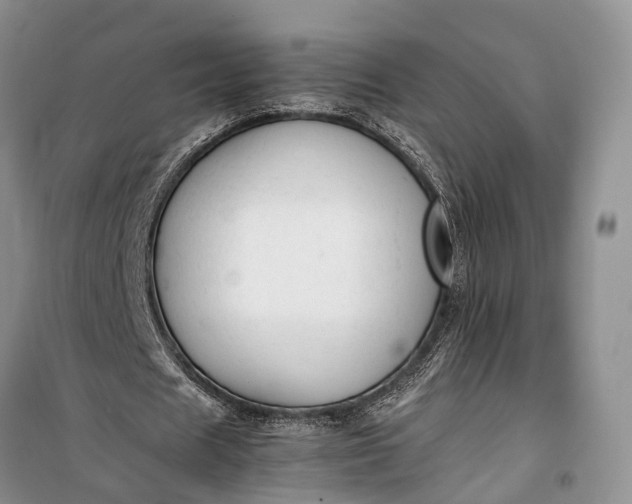 X0000100220625200806131315