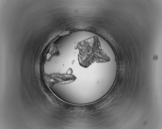 X0000100220626200806131315