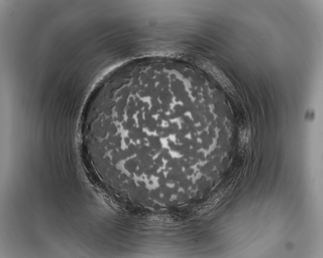 X0000100220628200806131315