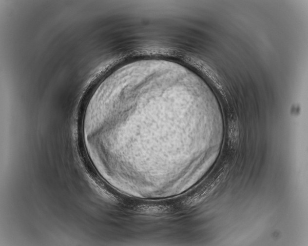 X0000100220629200806131315