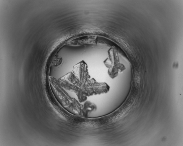 X0000100220630200806131315