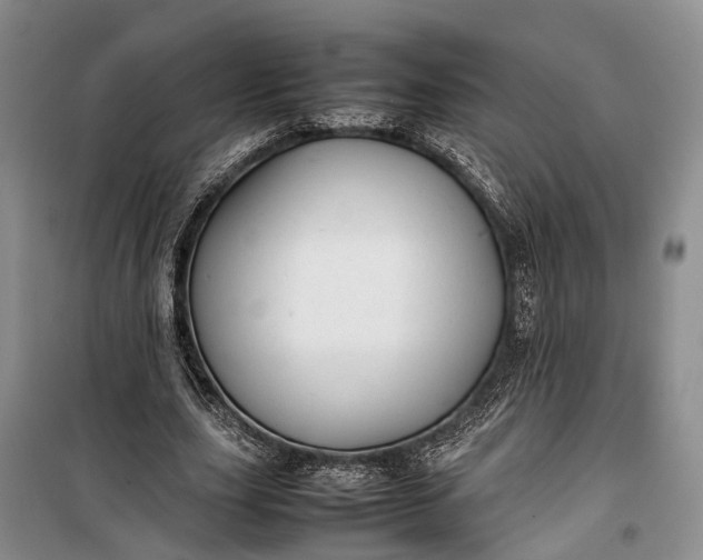 X0000100220631200806131315