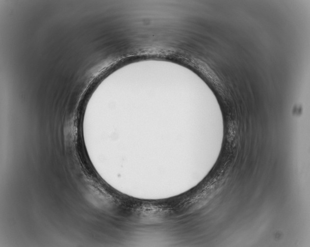 X0000100220632200806131315