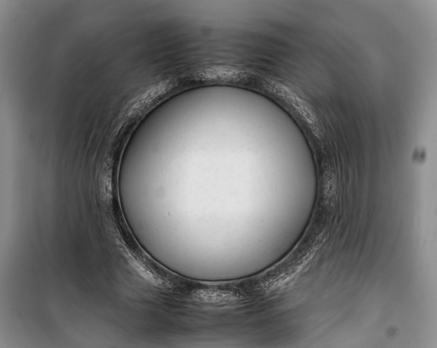 X0000100220633200806131315