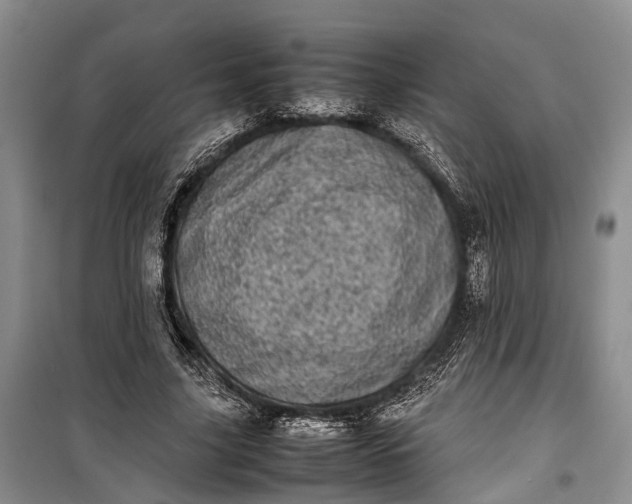 X0000100220635200806131315