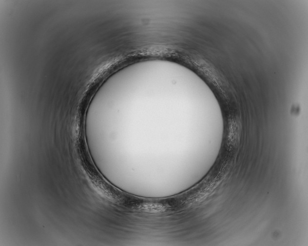 X0000100220636200806131315