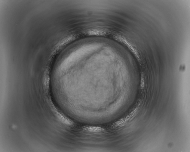 X0000100220637200806131315