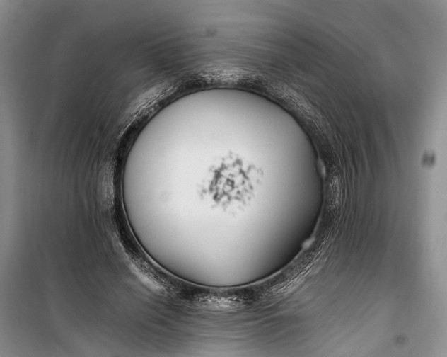 X0000100220638200806131315