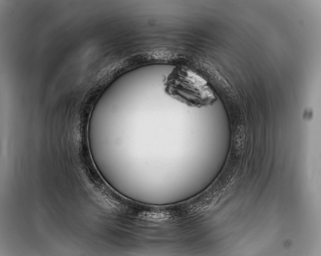 X0000100220639200806131315