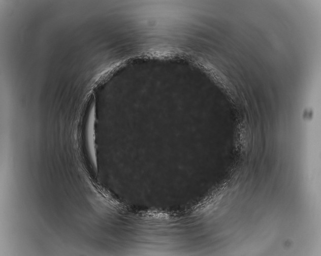 X0000100220640200806131315