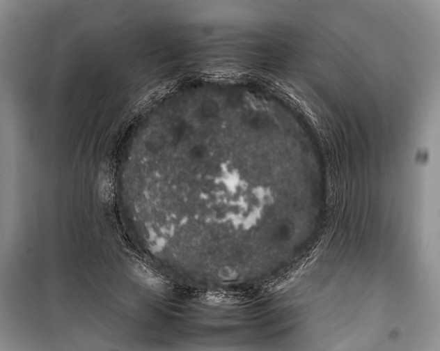 X0000100220641200806131315