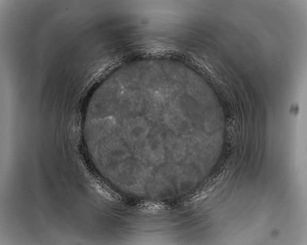 X0000100220642200806131315