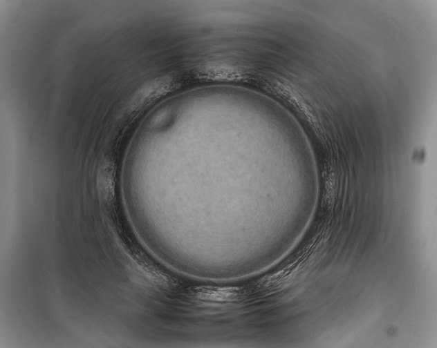 X0000100220643200806131315