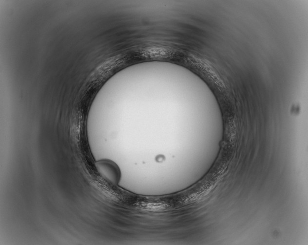 X0000100220645200806131315