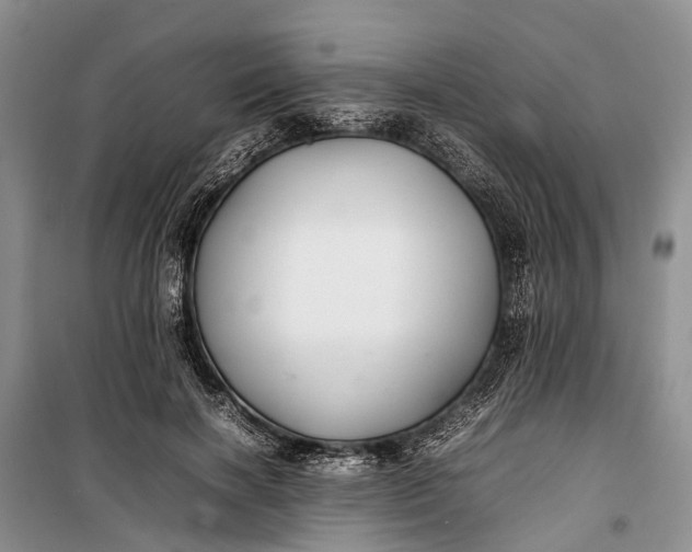 X0000100220646200806131315