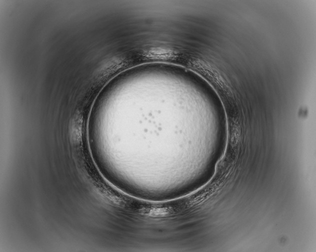 X0000100220647200806131315