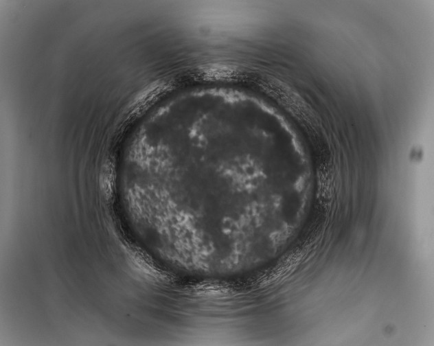 X0000100220648200806131315